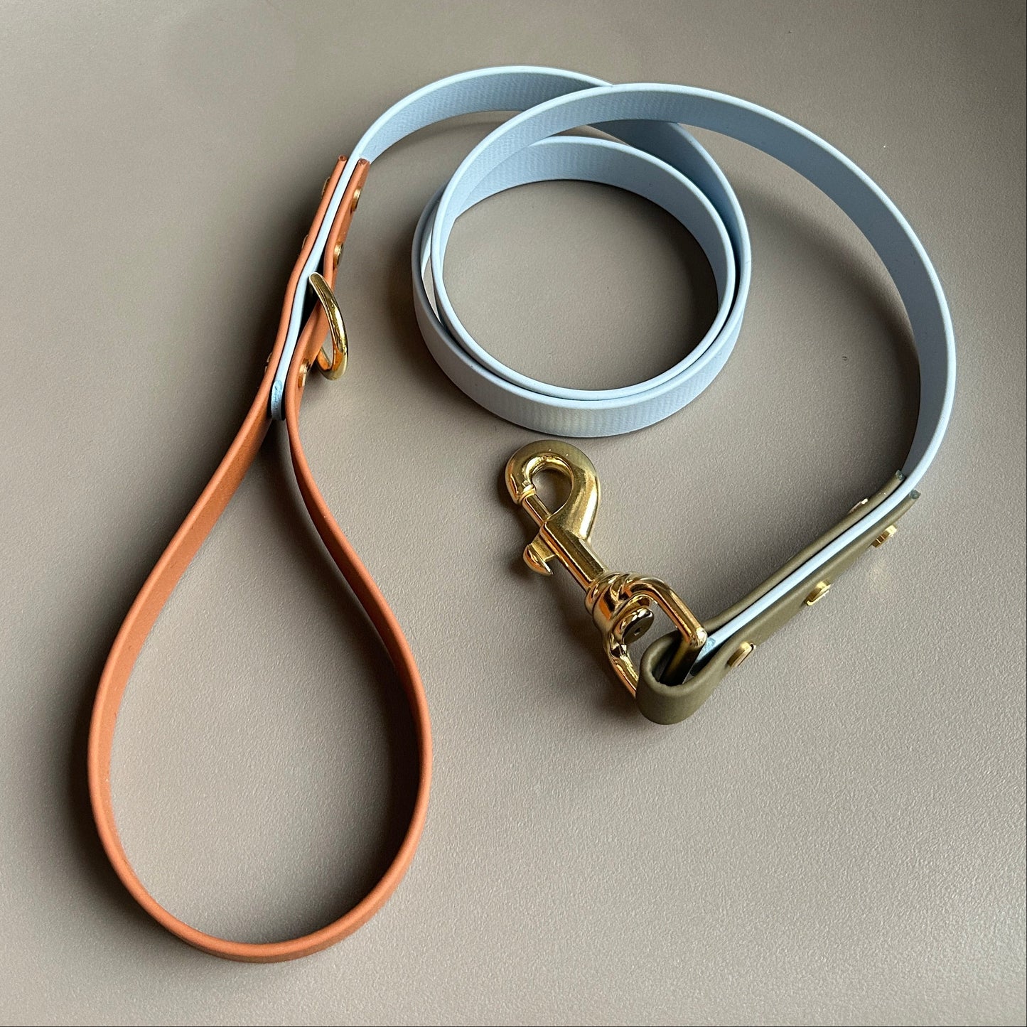 Oslo Colourblock BioThane® Lead