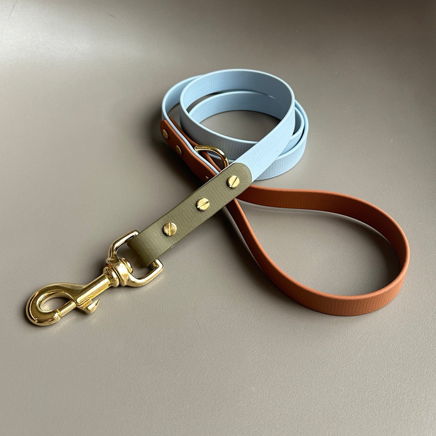 Oslo Colourblock BioThane® Lead