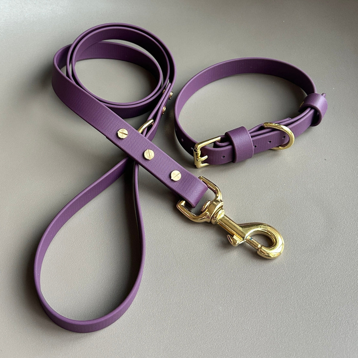Aubergine BioThane® Lead