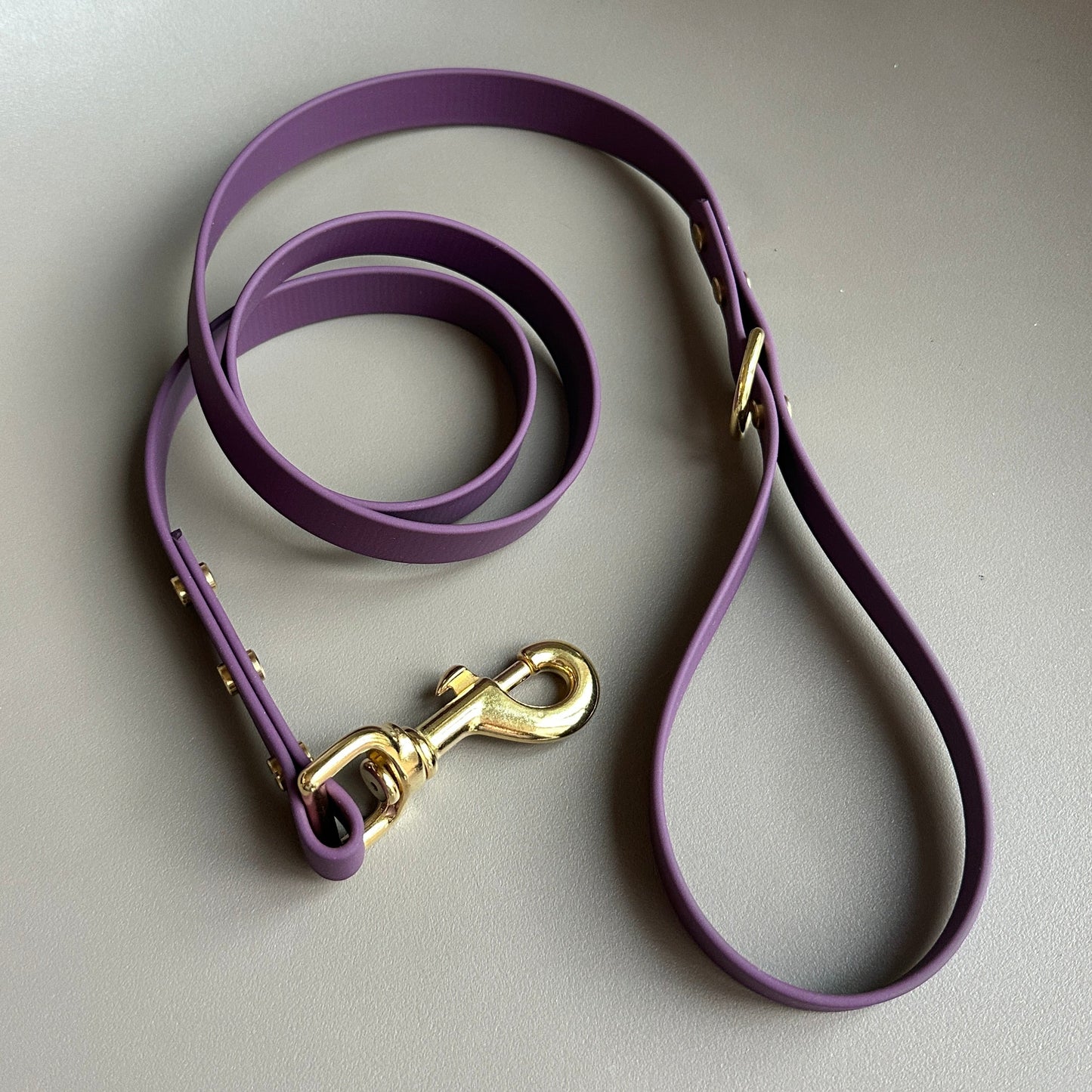 Aubergine BioThane® Lead