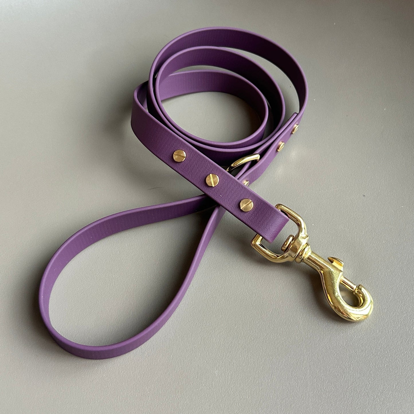 Aubergine BioThane® Lead