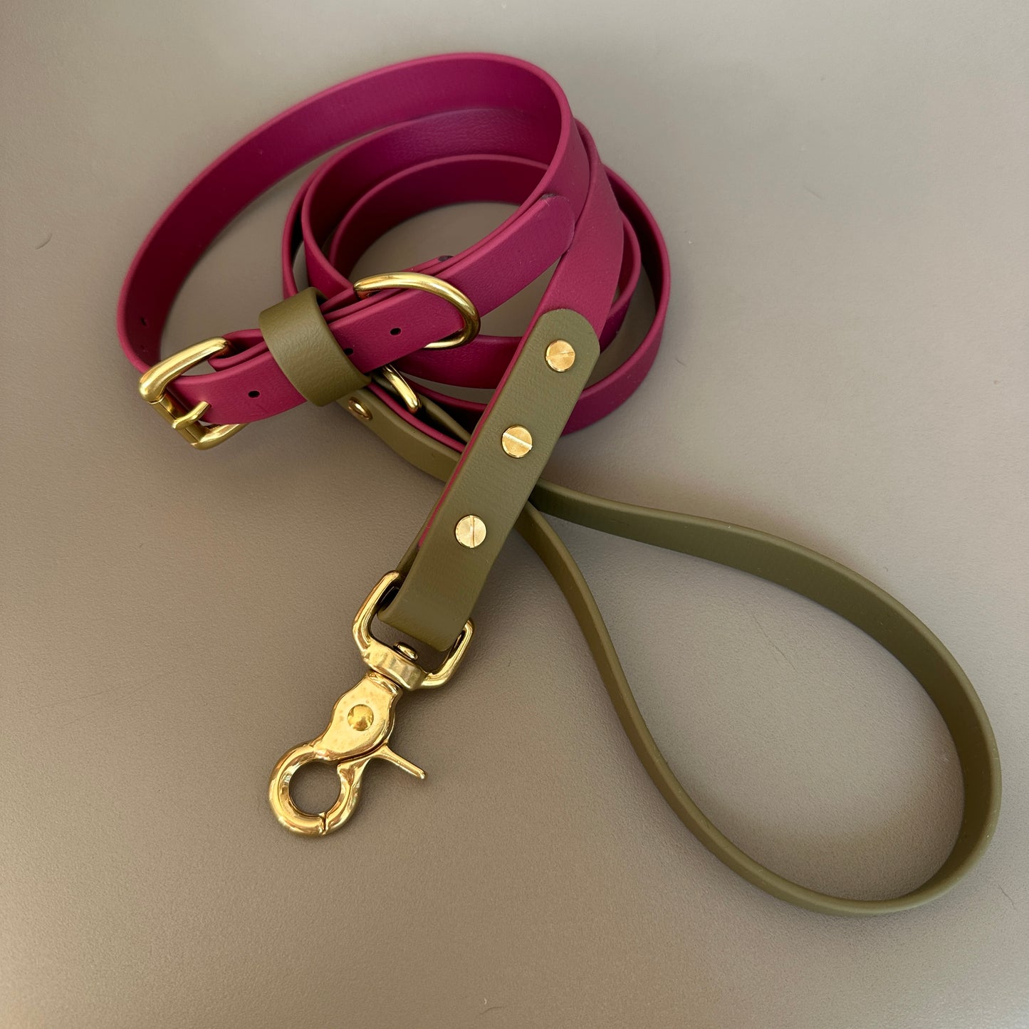 Dottie Colourblock BioThane® Lead