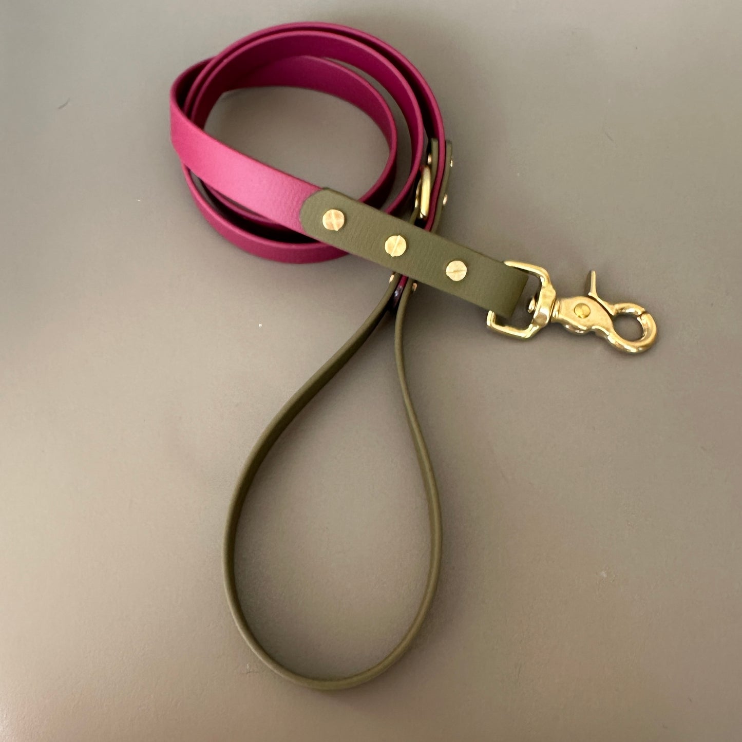 Dottie Colourblock BioThane® Lead