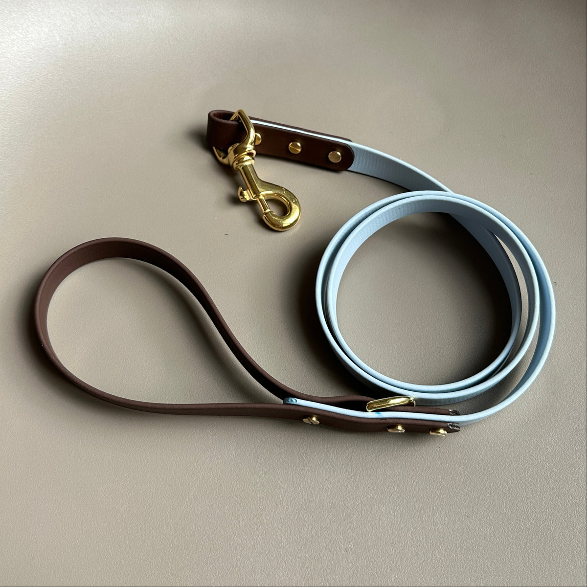 Bray Colourblock BioThane® Lead