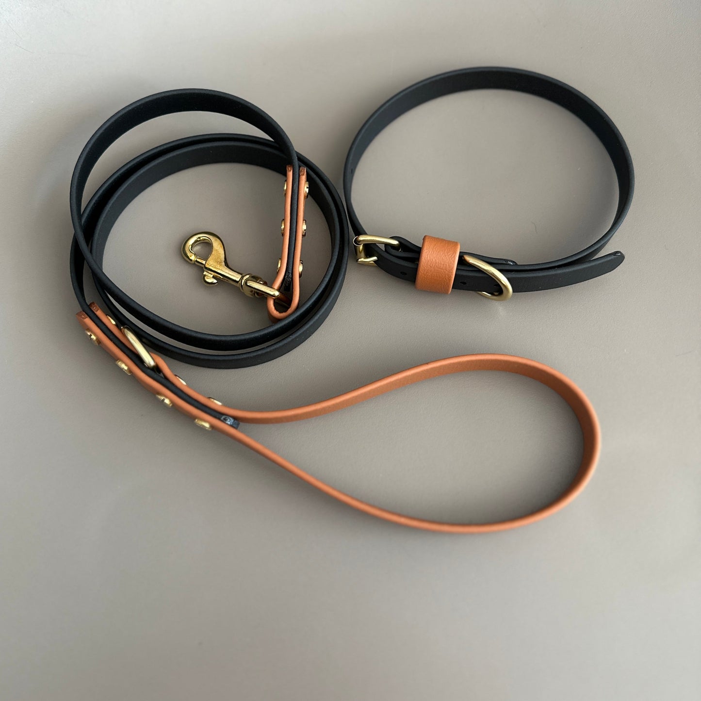 Castor Fire Colourblock BioThane® Lead