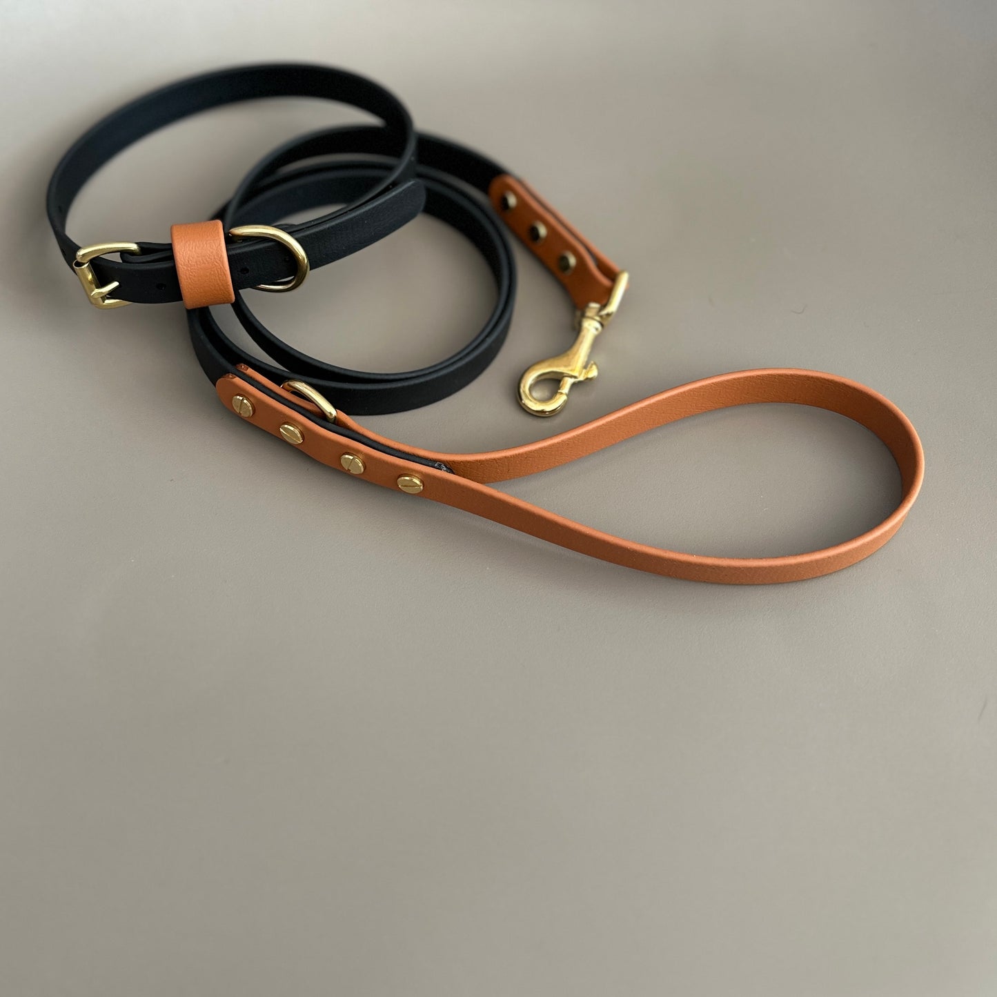 Castor Fire Colourblock BioThane® Collar
