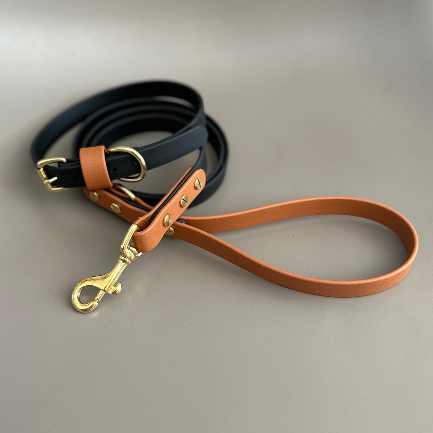 Castor Fire Colourblock BioThane® Lead