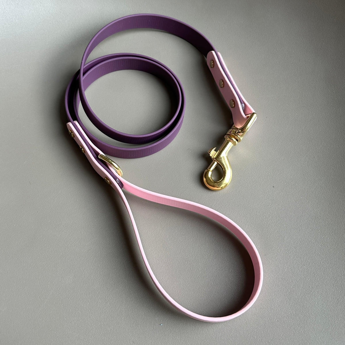 Coco Colourblock BioThane® Lead