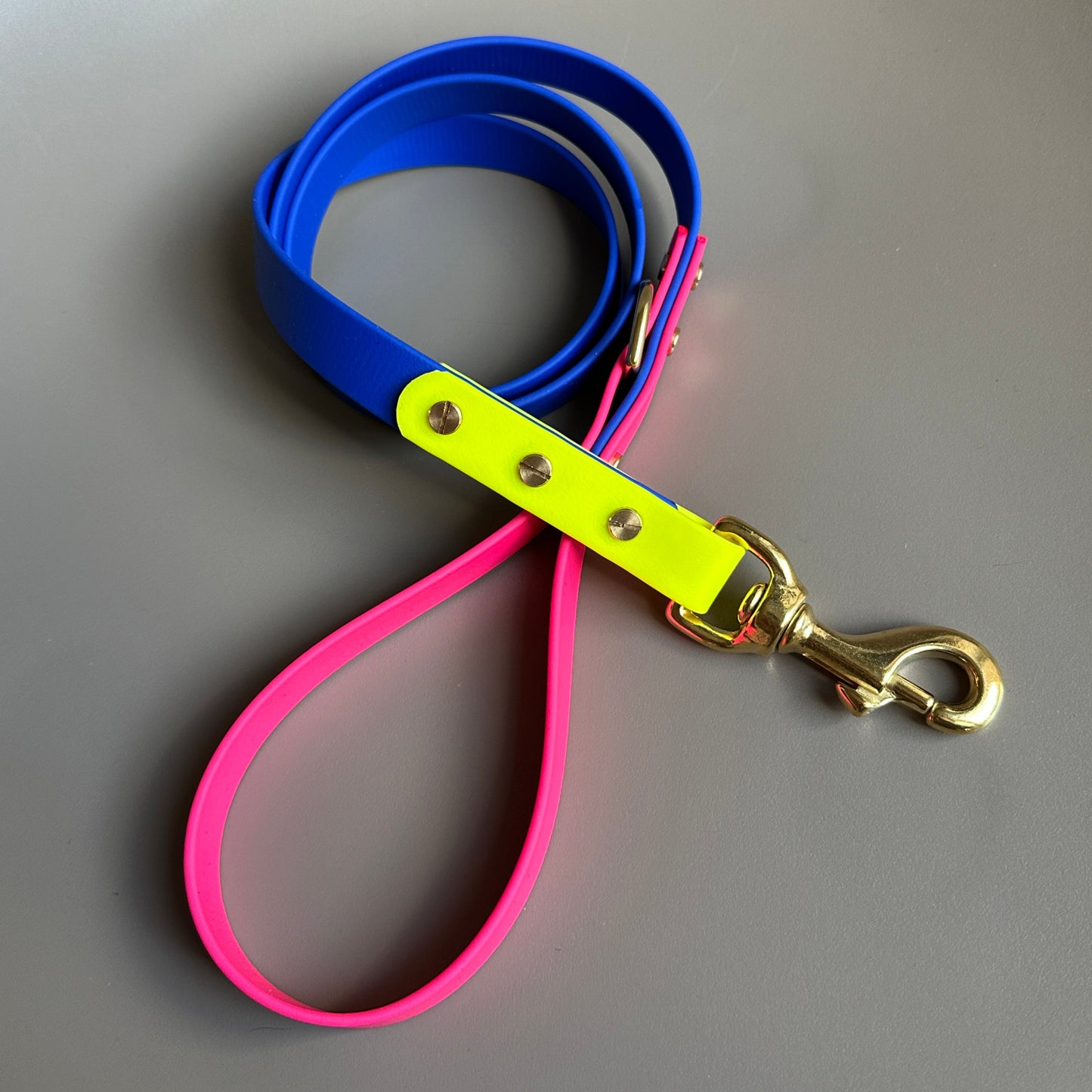 Islay Colourblock BioThane® Lead