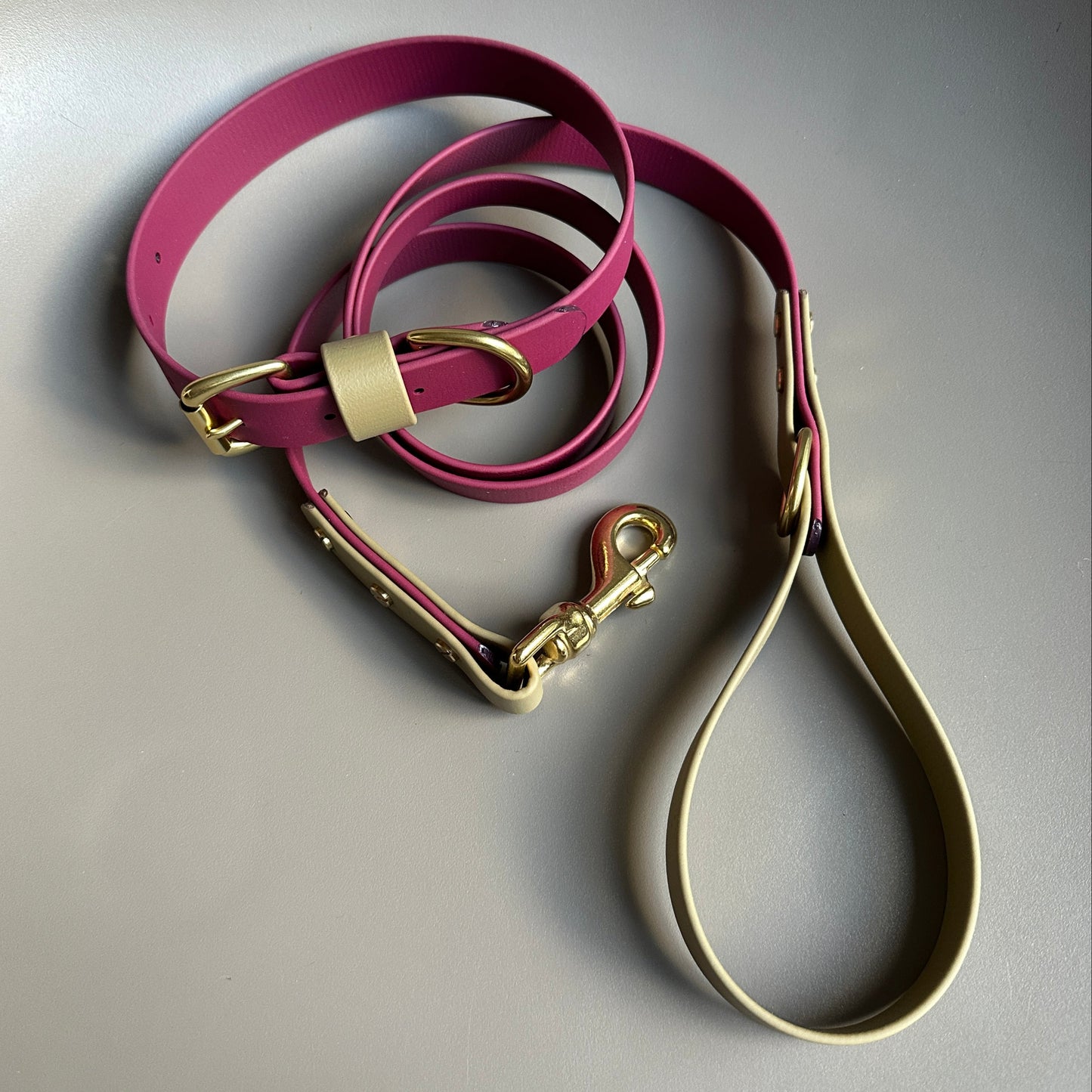 Renn Colourblock BioThane® Collar