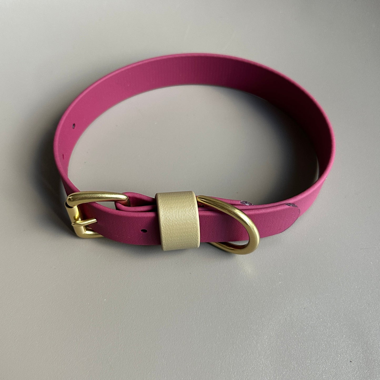 Renn Colourblock BioThane® Collar