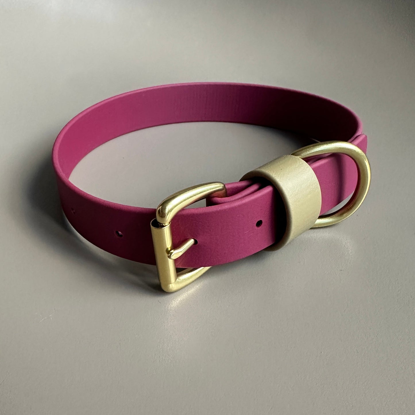 Renn Colourblock BioThane® Collar