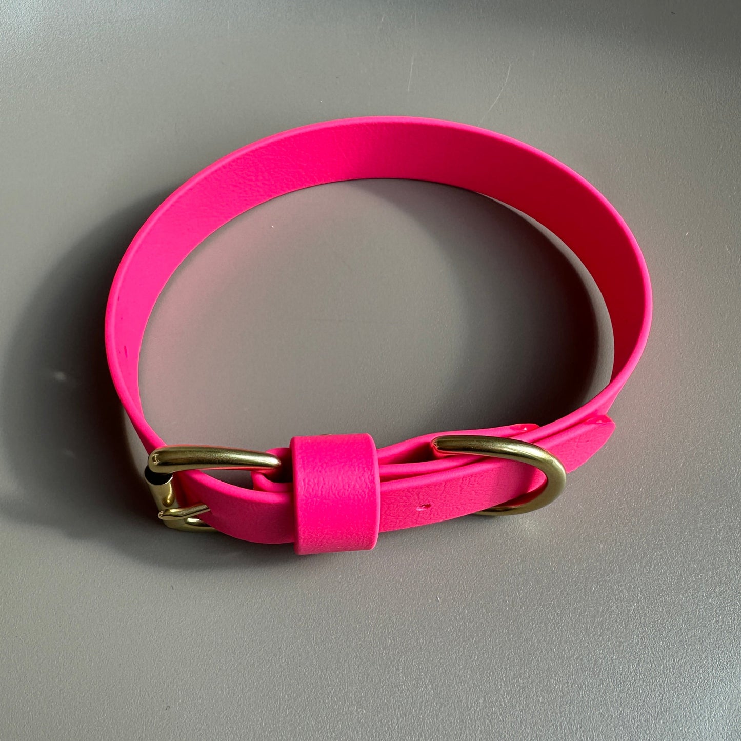 Neon Pink BioThane® Collar