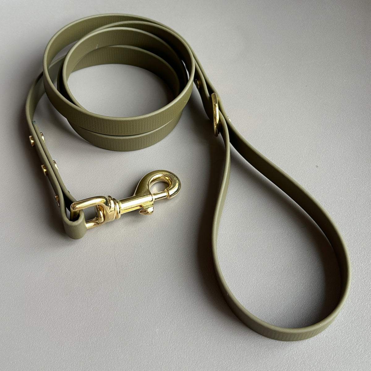 Olive BioThane® Lead