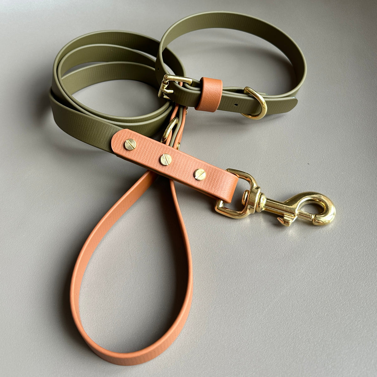 Dexter Colourblock BioThane® Lead