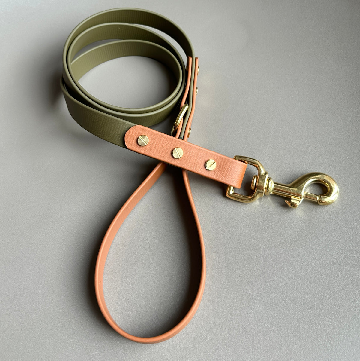 Dexter Colourblock BioThane® Lead