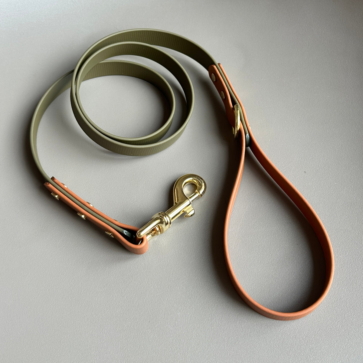Dexter Colourblock BioThane® Lead