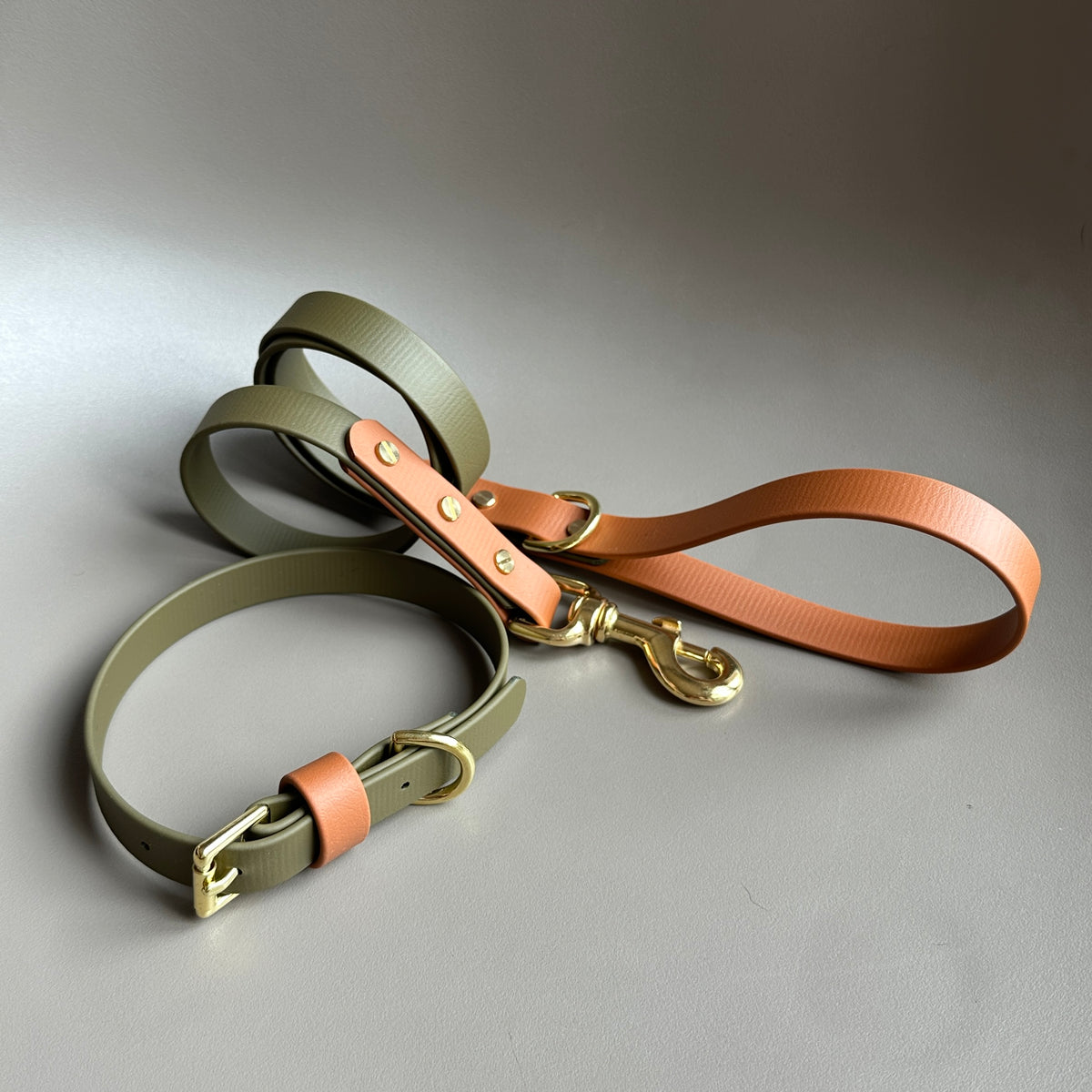 Dexter Colourblock BioThane® Lead