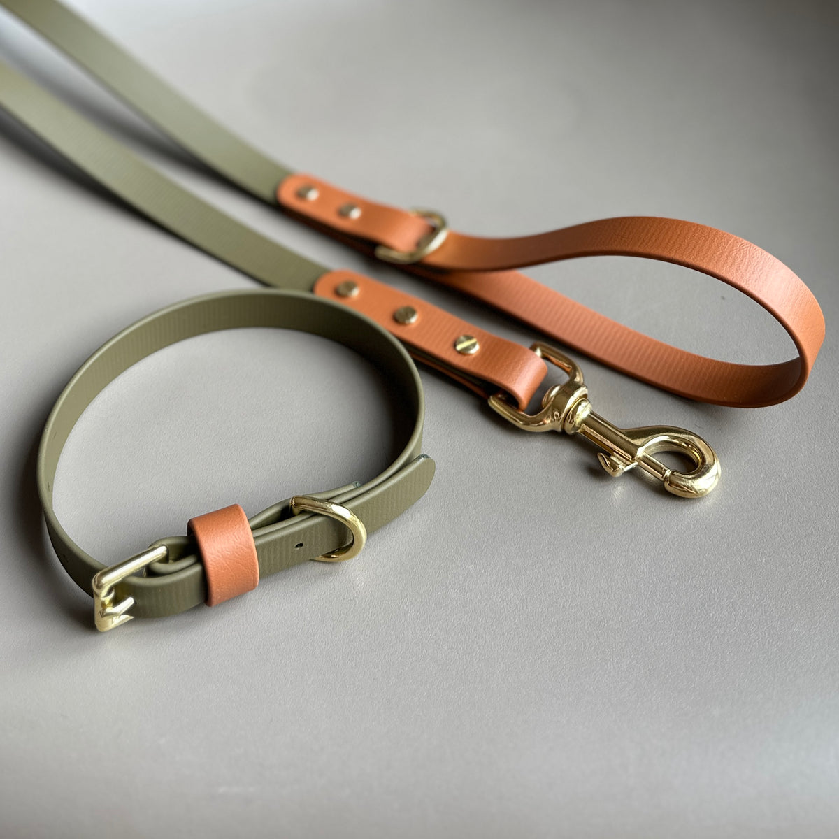 Dexter Colourblock BioThane® Collar
