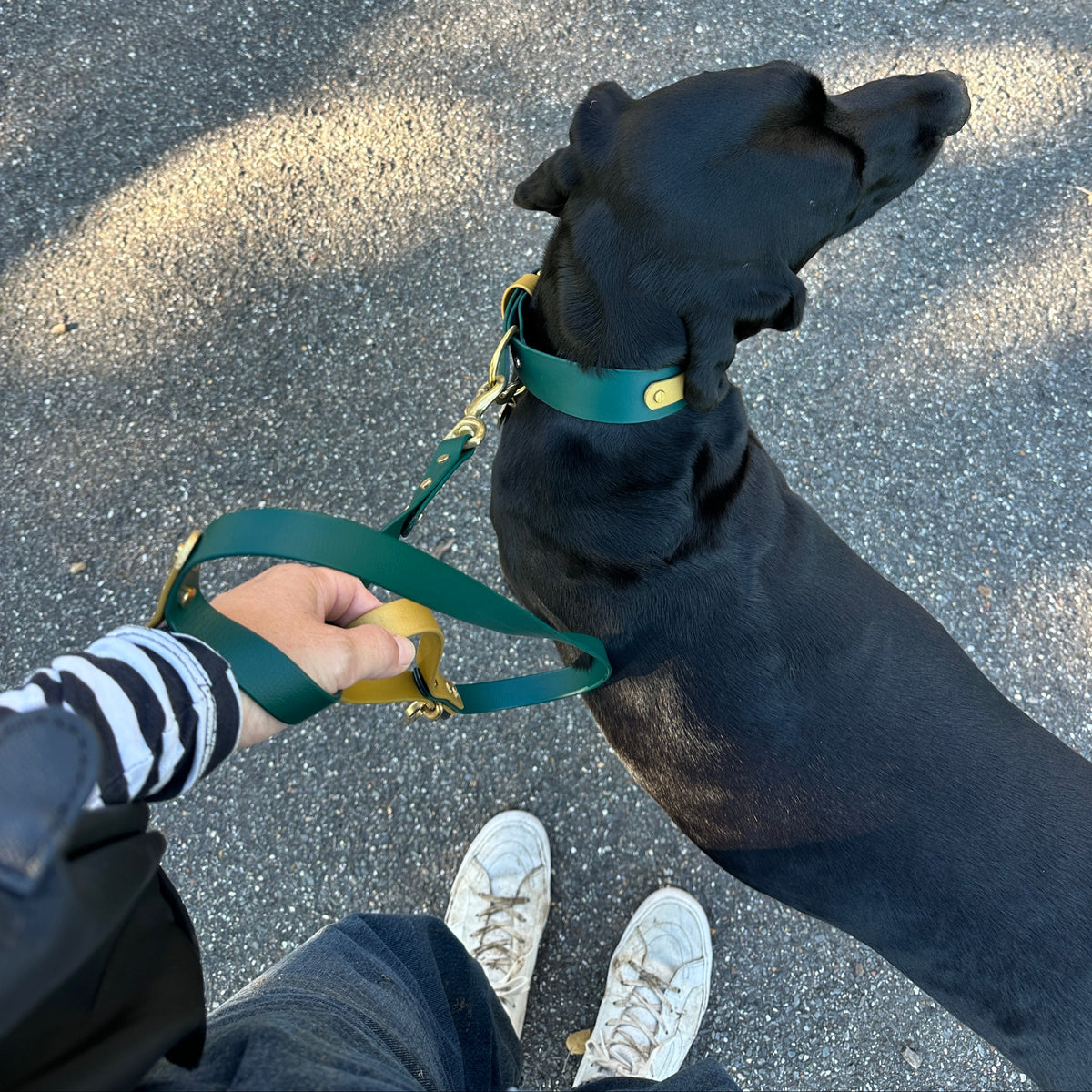Traffic Handle Lead Add On