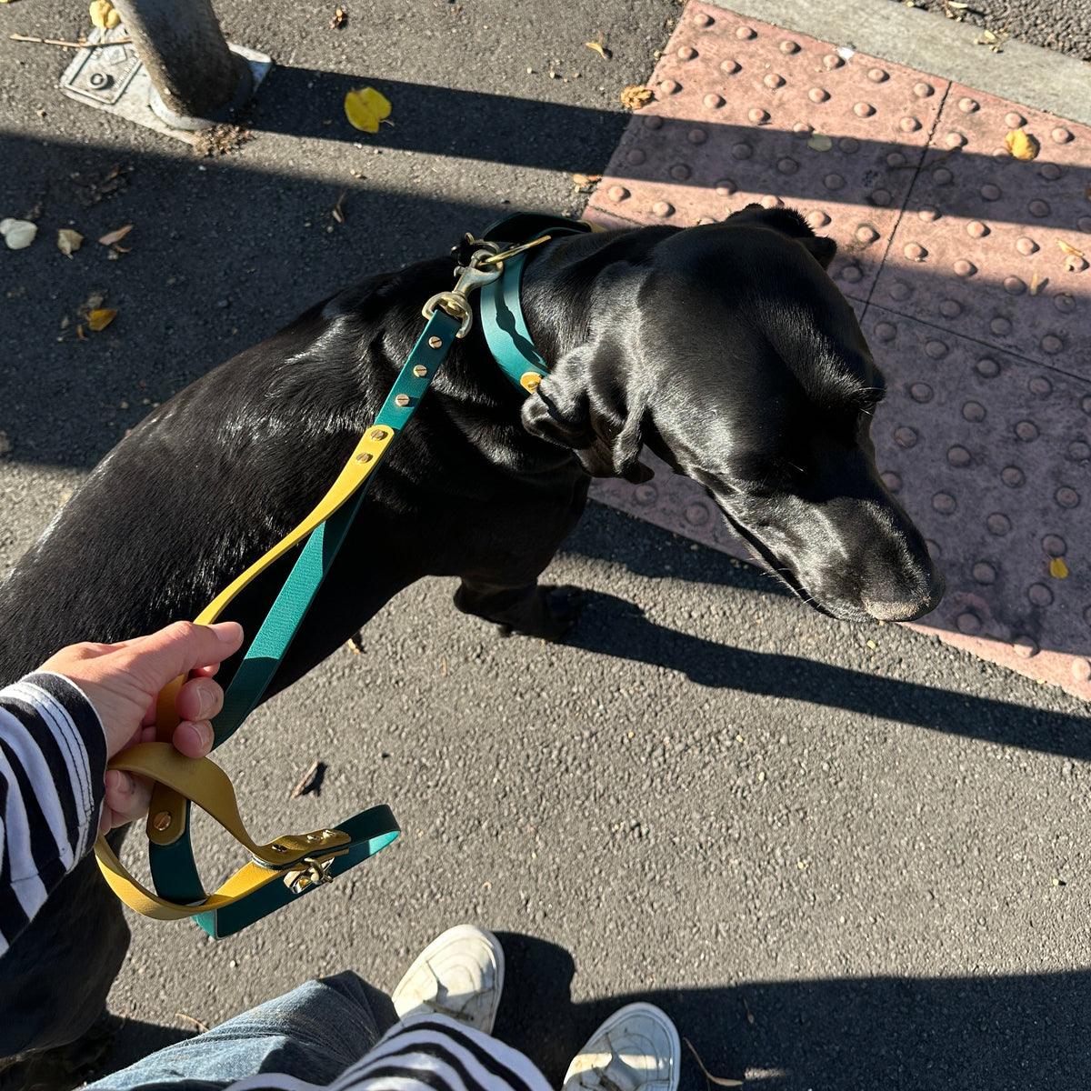 Traffic Handle Lead Add On