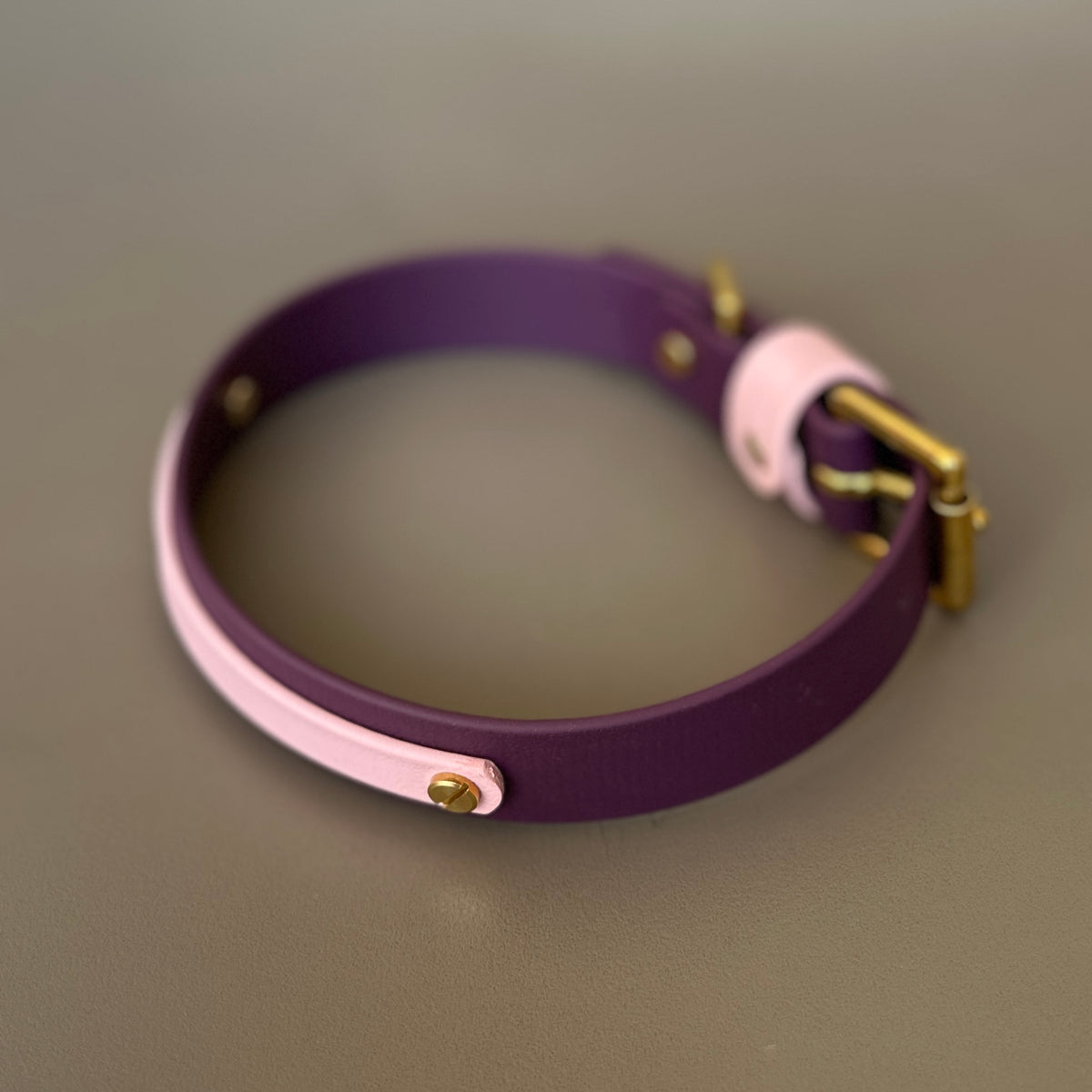 Coco Colourband BioThane® Collar