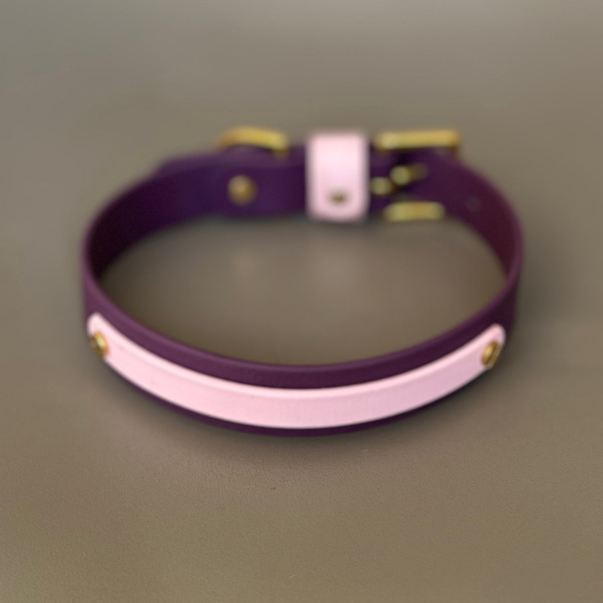 Coco Colourband BioThane® Collar
