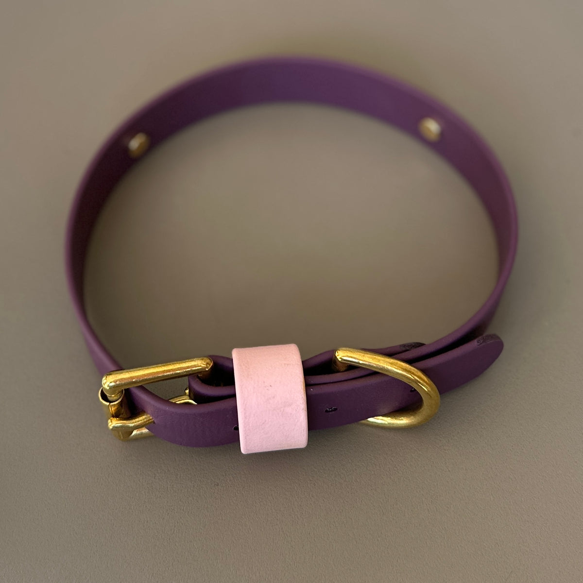 Coco Colourband BioThane® Collar