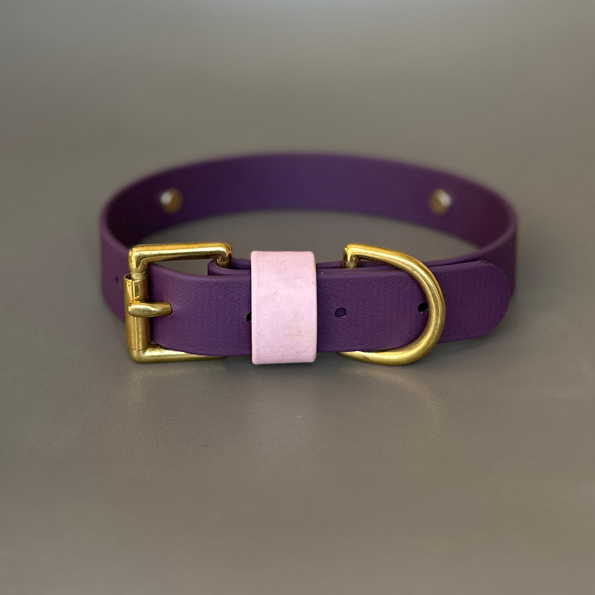 Coco Colourband BioThane® Collar
