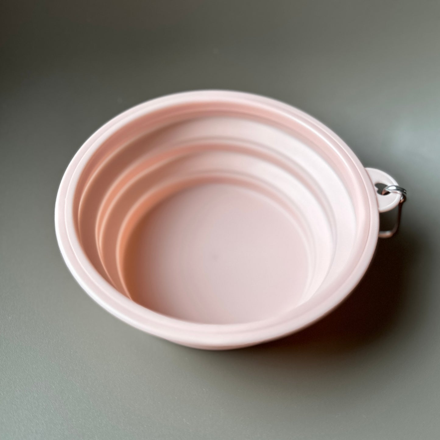 Collapsible Travel Water Bowl