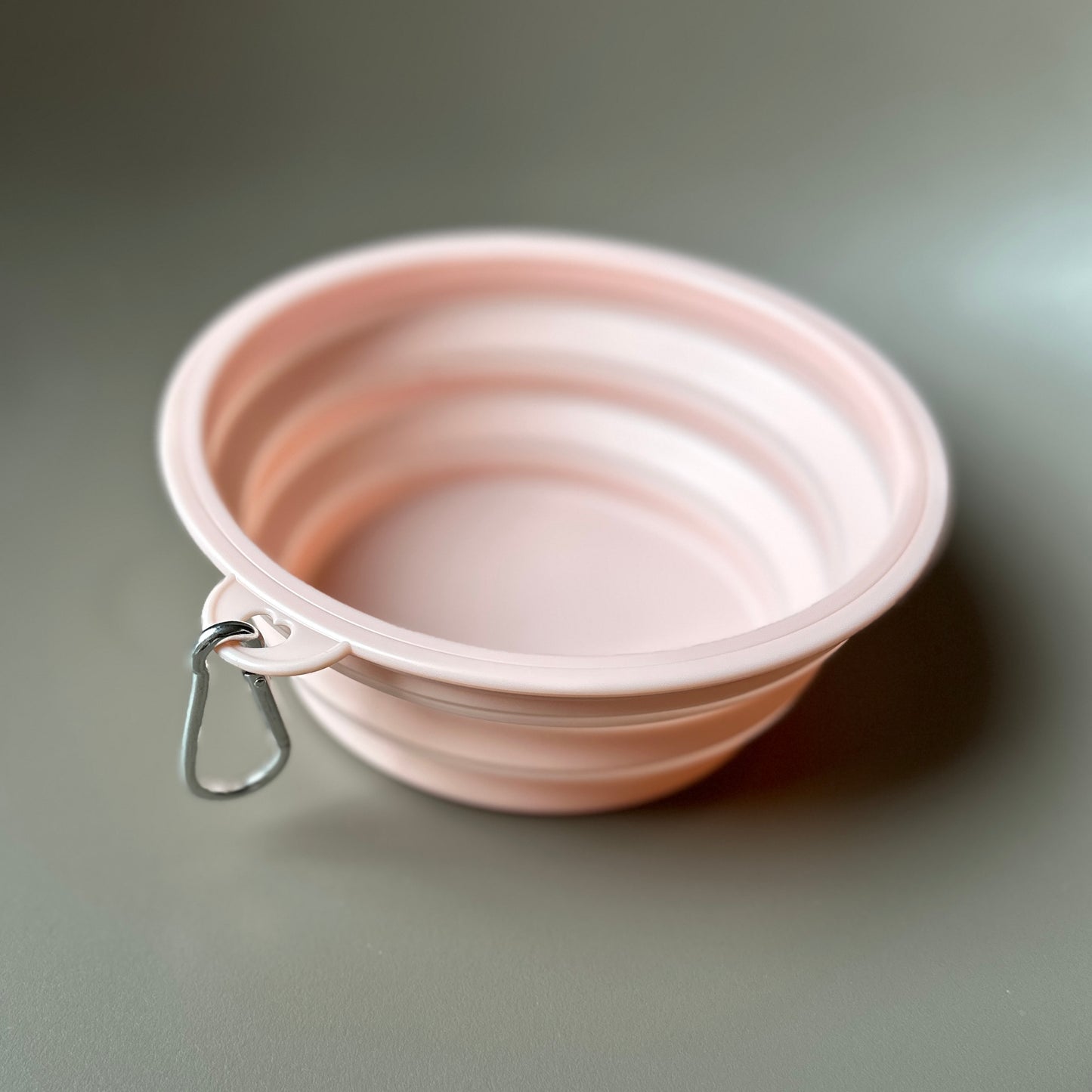 Collapsible Travel Water Bowl