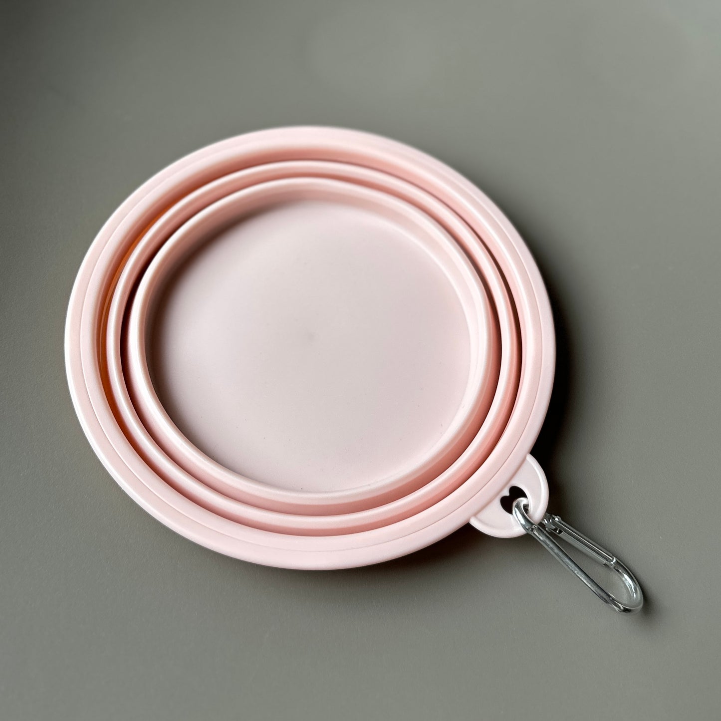 Collapsible Travel Water Bowl