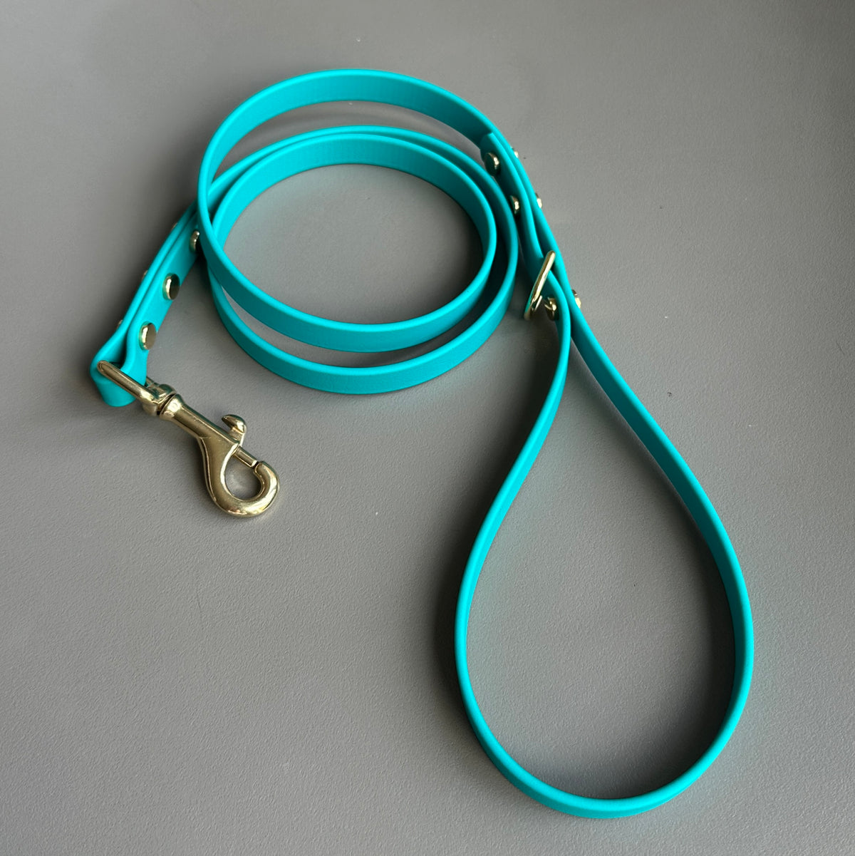 Turquoise BioThane® Lead