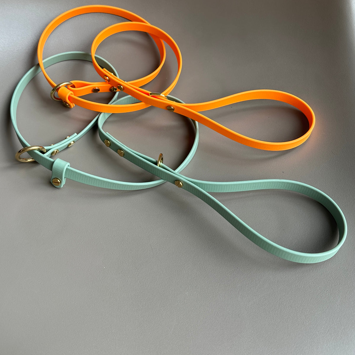 BioThane® 12mm Slip Lead