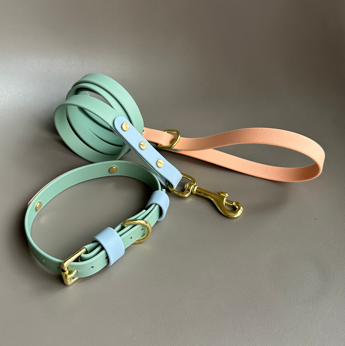 Teddy Colourblock BioThane® Lead