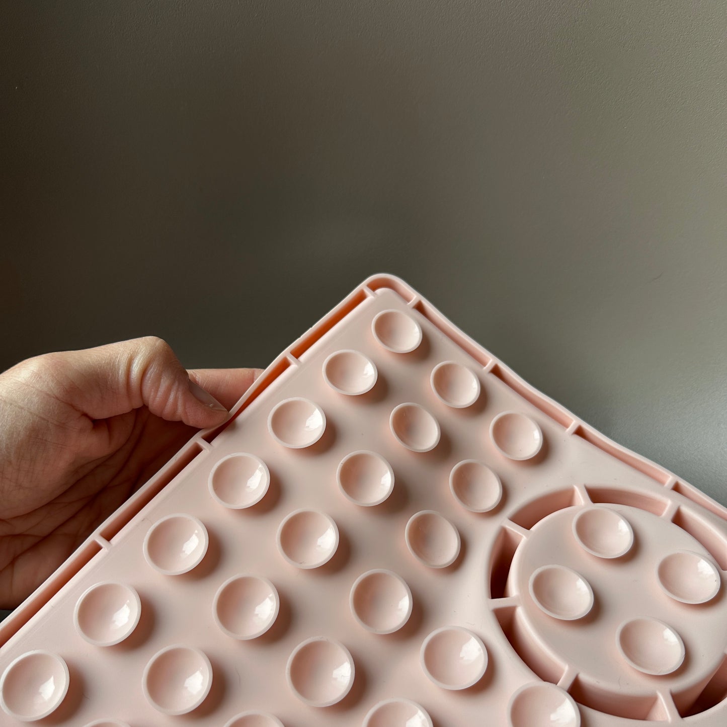 3 in 1 Slow Feeder Lick Mat