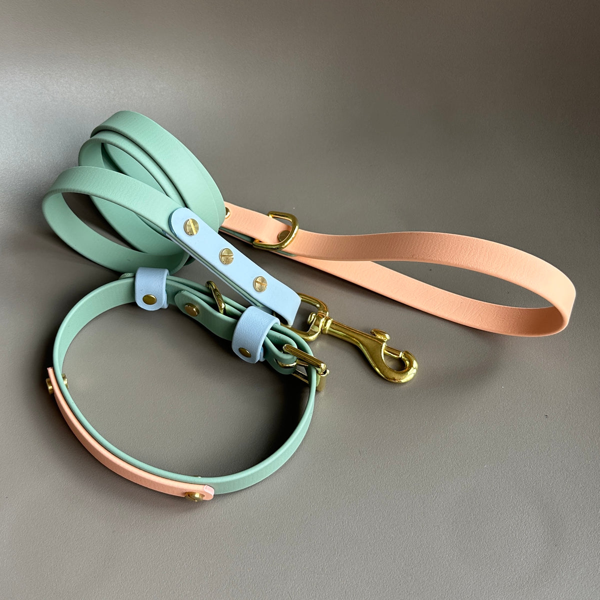 Teddy Colourband BioThane® Collar