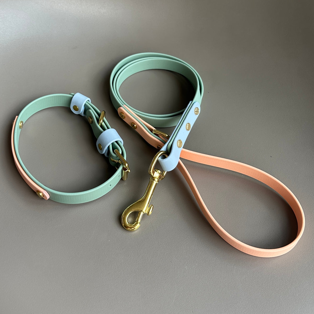 Teddy Colourblock BioThane® Lead