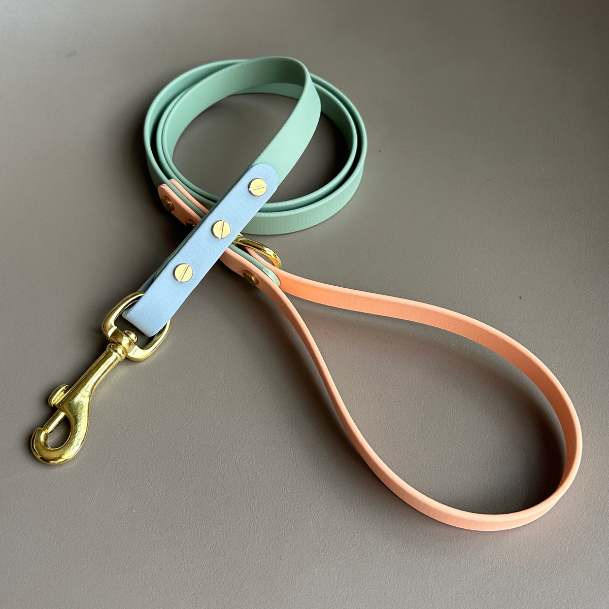Teddy Colourblock BioThane® Lead
