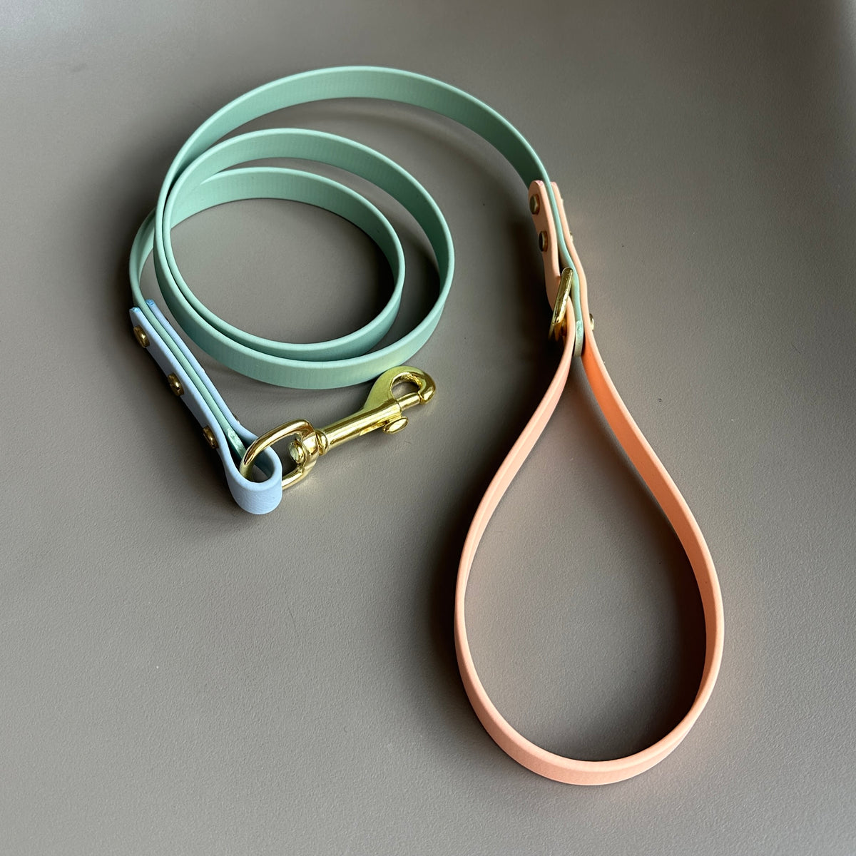 Teddy Colourblock BioThane® Lead