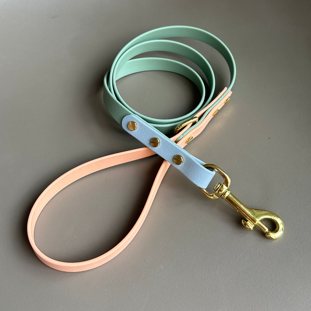 Teddy Colourblock BioThane® Lead