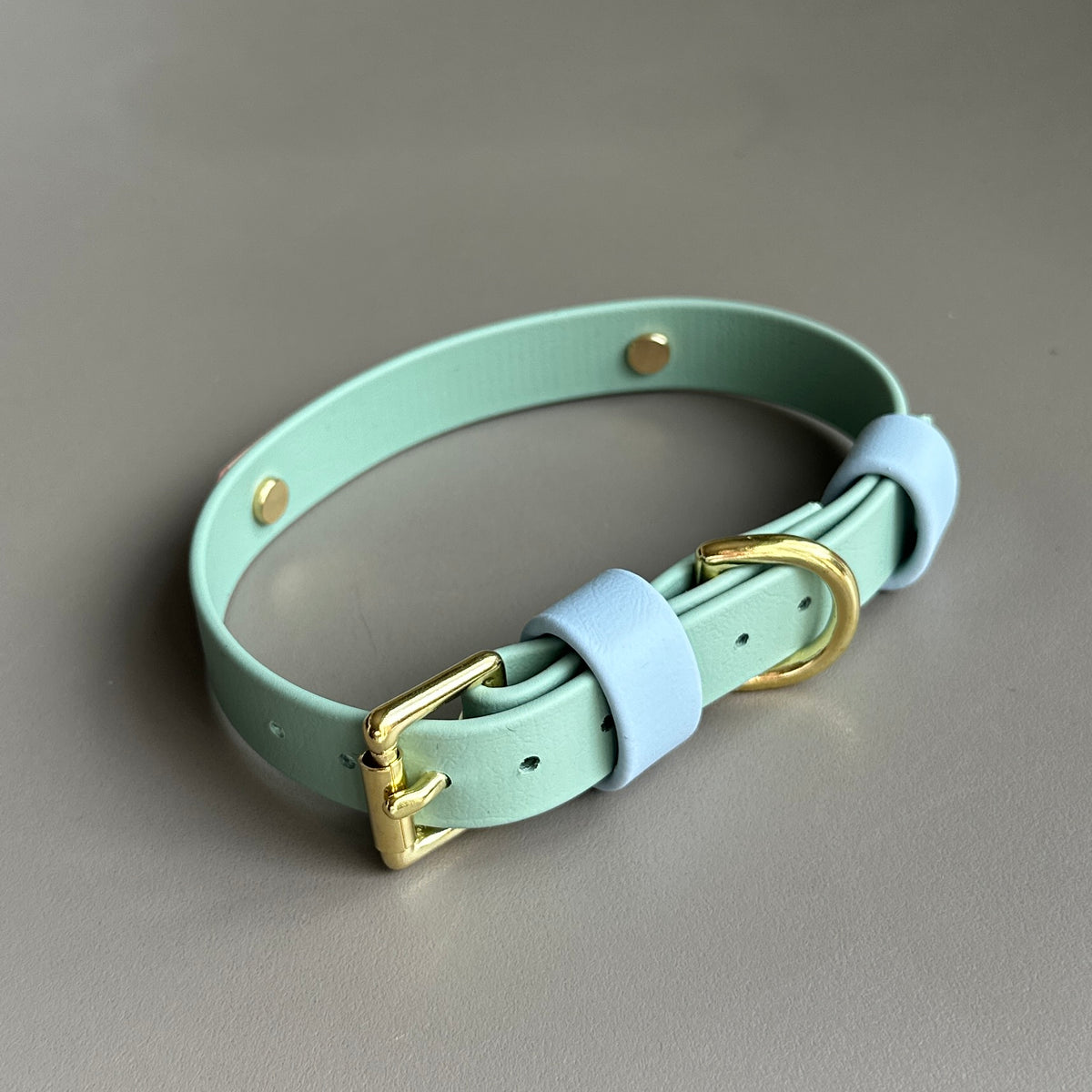 Teddy Colourband BioThane® Collar