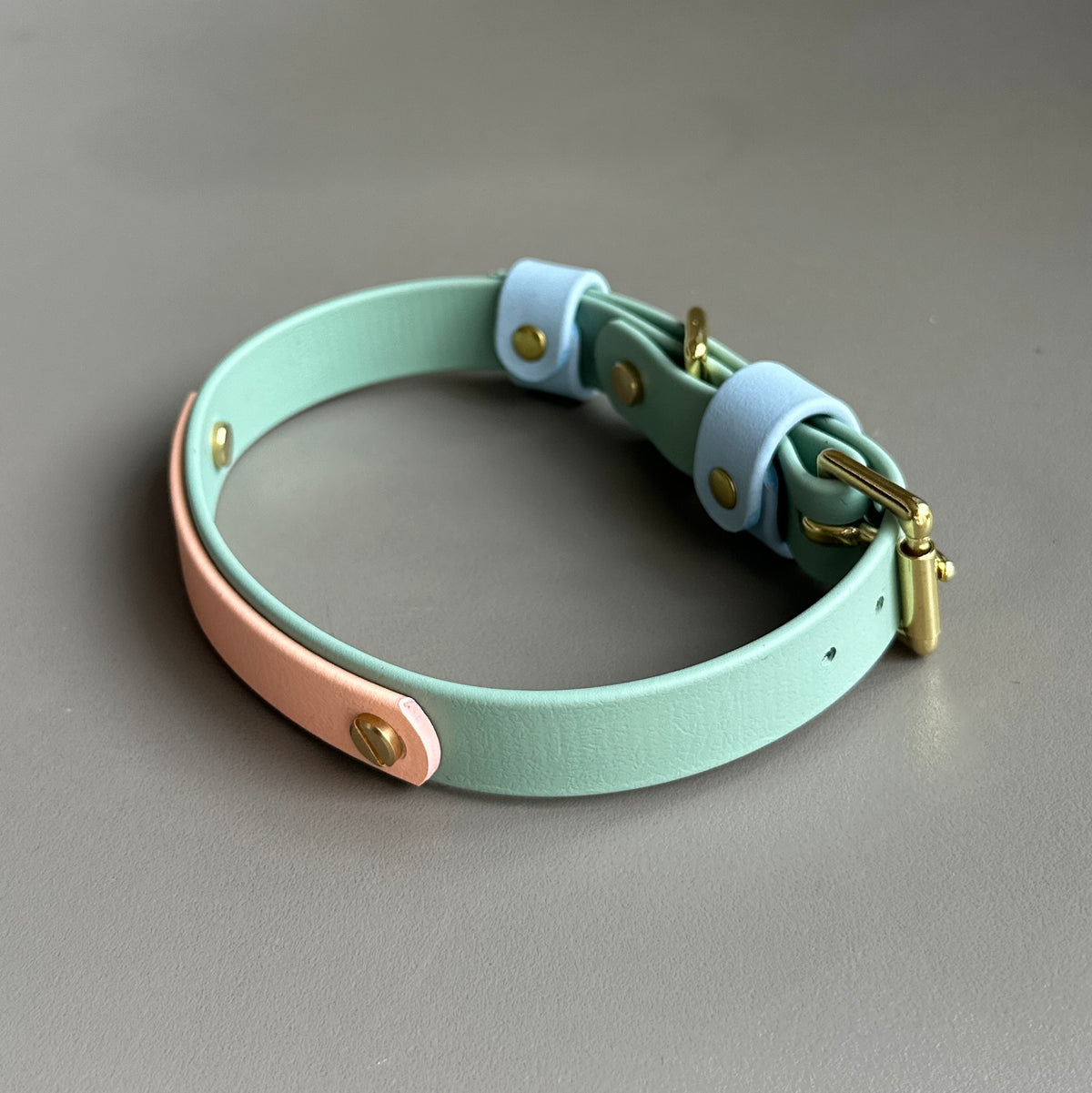 Teddy Colourband BioThane® Collar