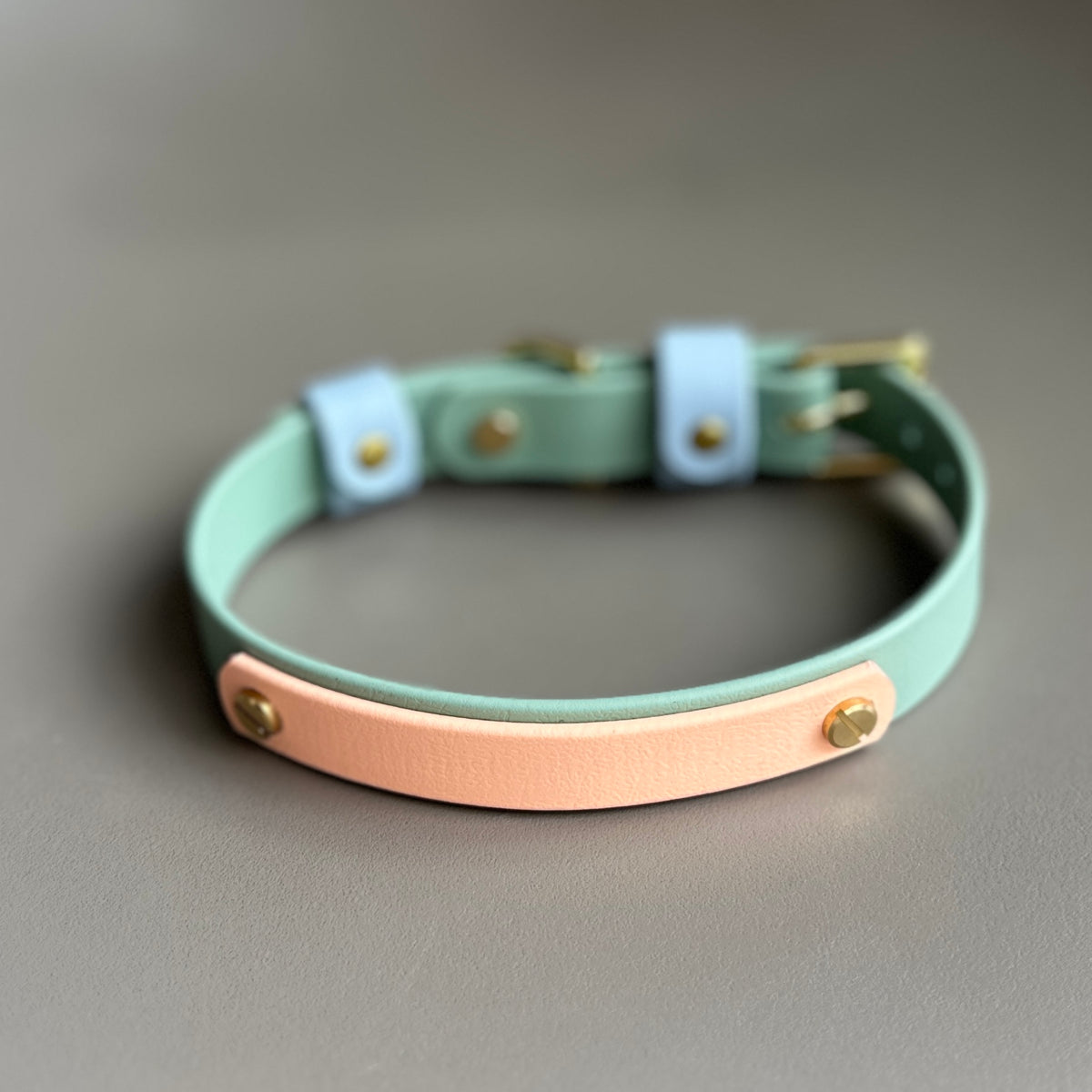 Teddy Colourband BioThane® Collar