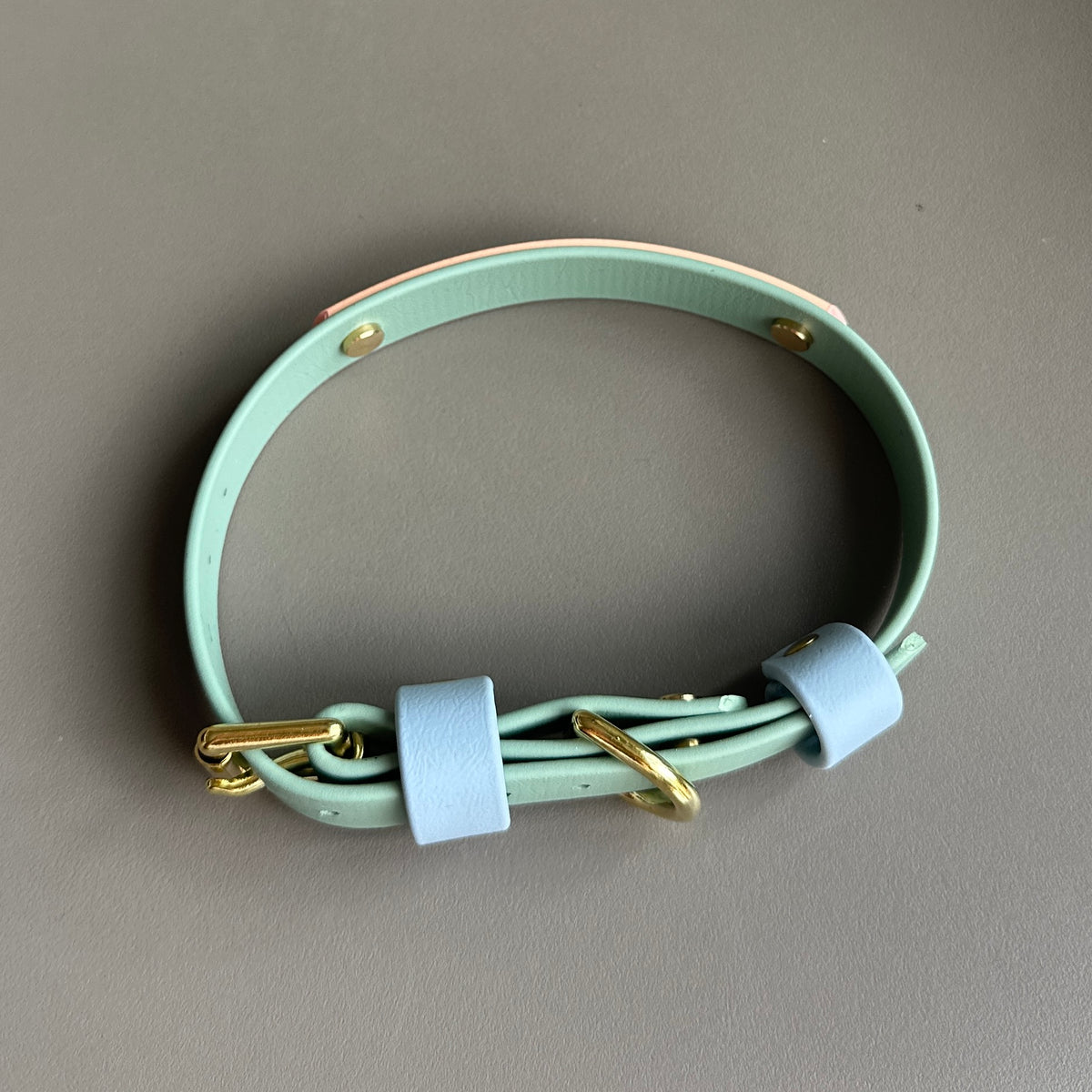 Teddy Colourband BioThane® Collar