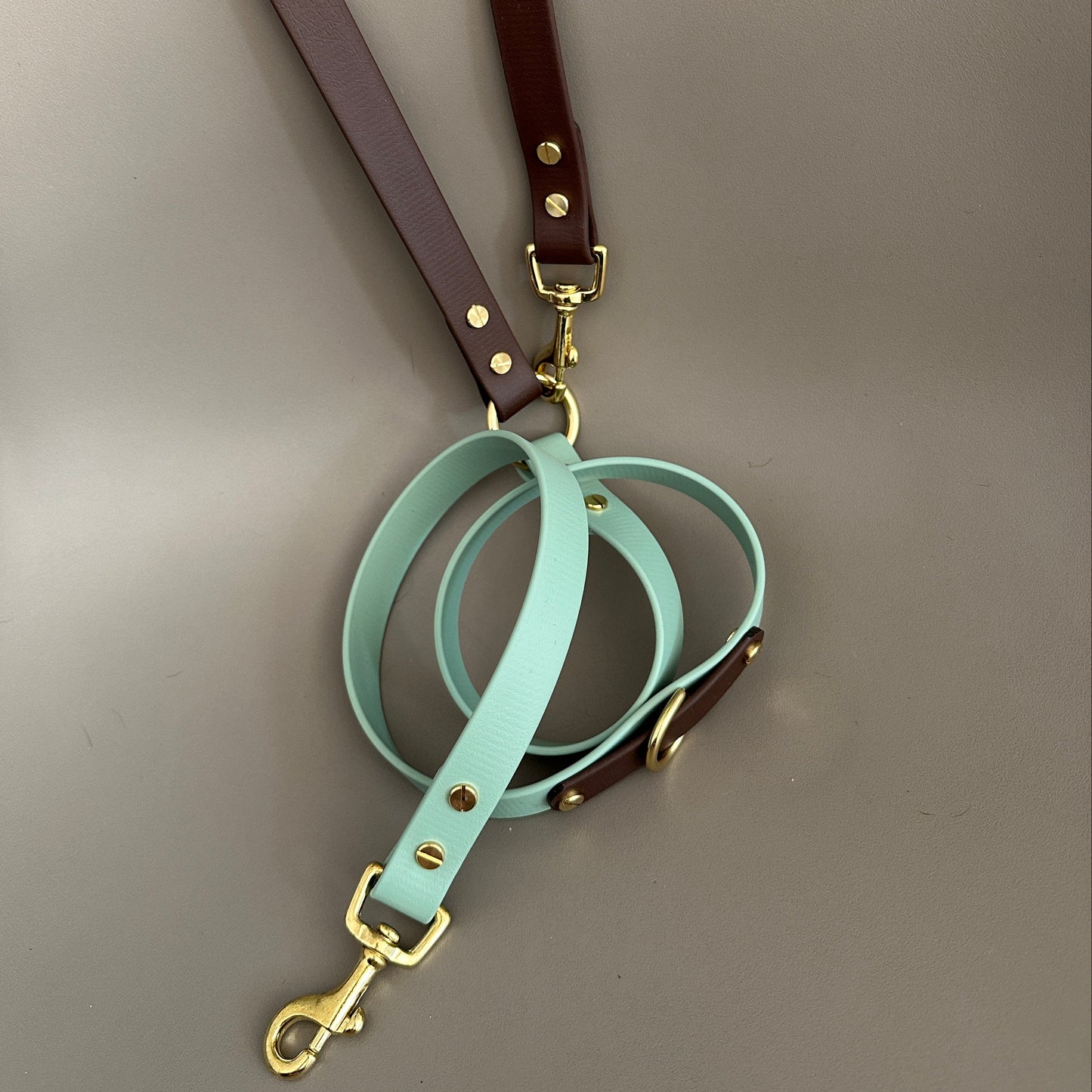 Ozzy Crossbody Multiway BioThane® Lead