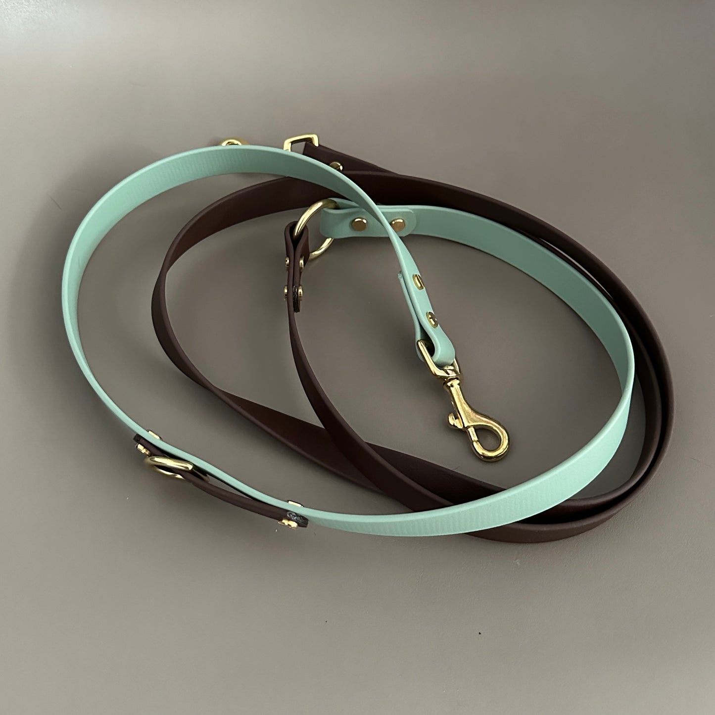 Ozzy Crossbody Multiway BioThane® Lead