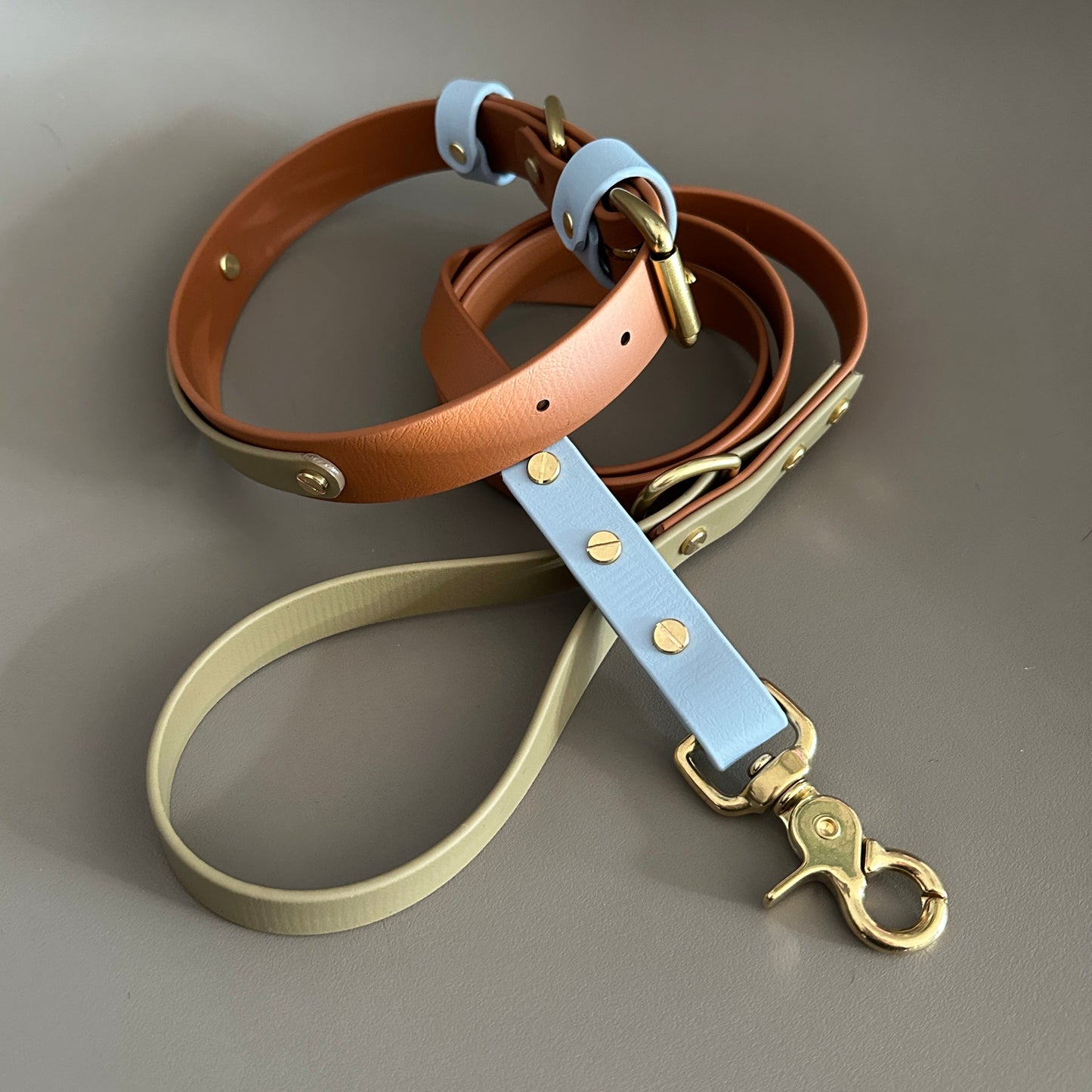 Towans Colourband BioThane® Collar