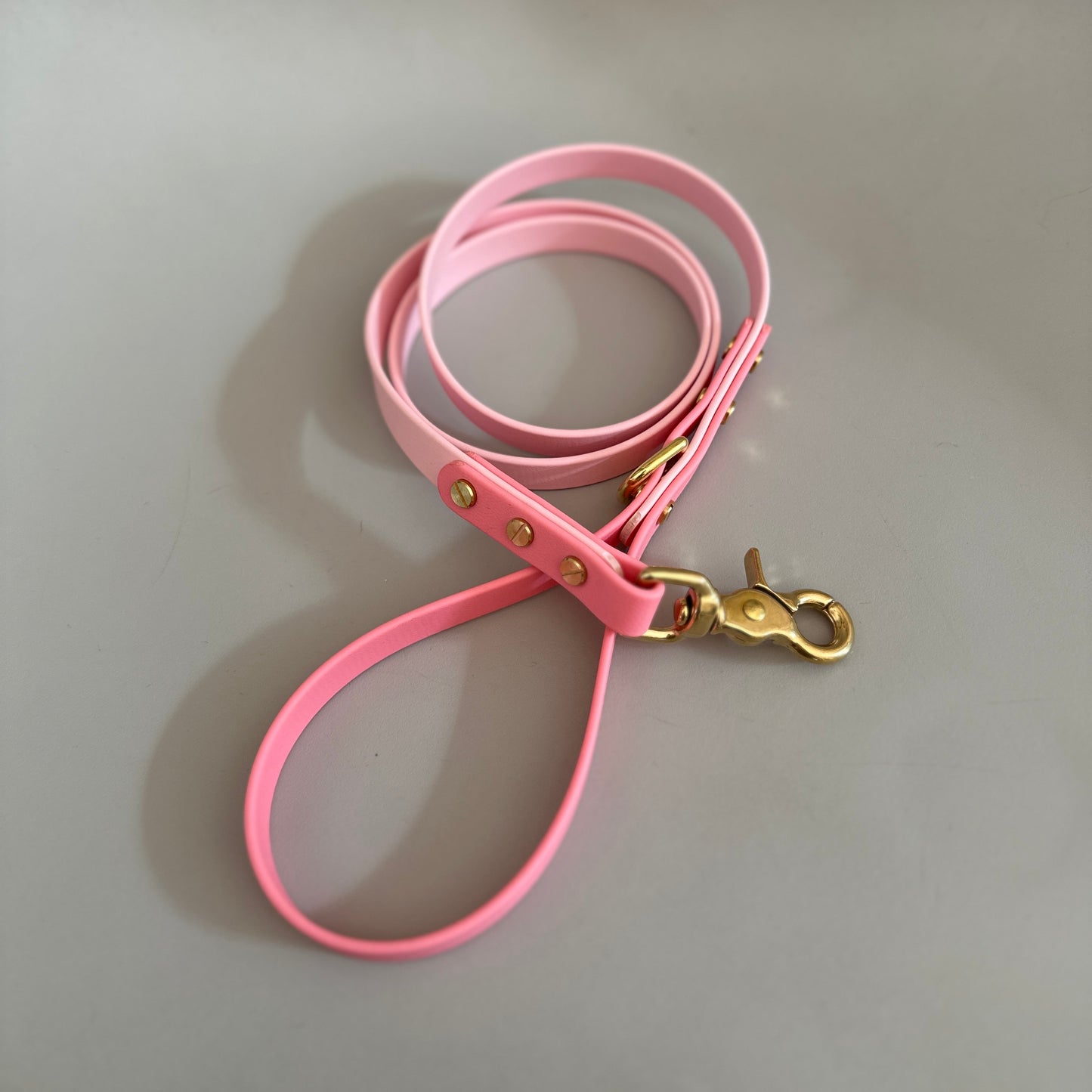 Moo's Colourblock BioThane® Lead