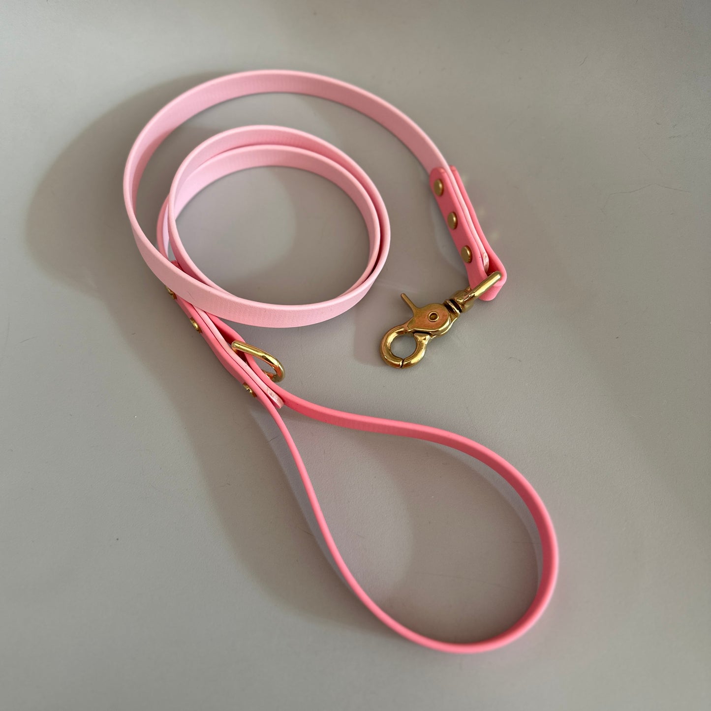 Moo's Colourblock BioThane® Lead